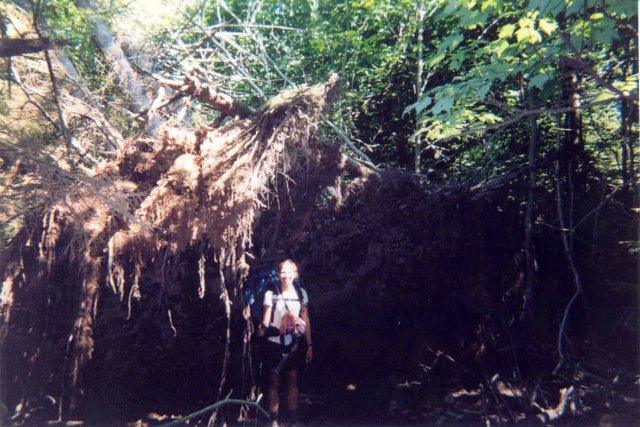 Angel on the Apalachian Trail 4