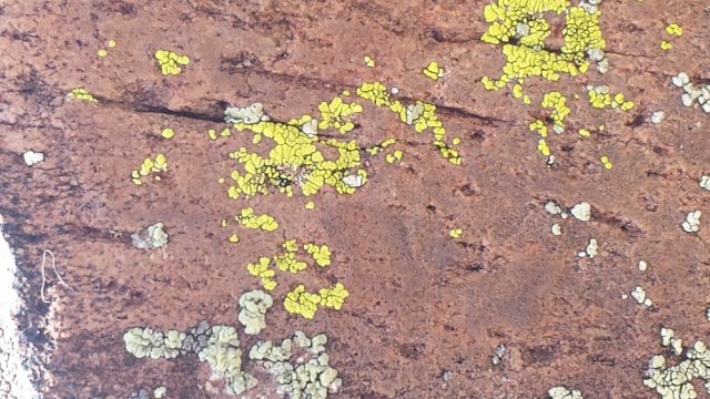 20160527_130440