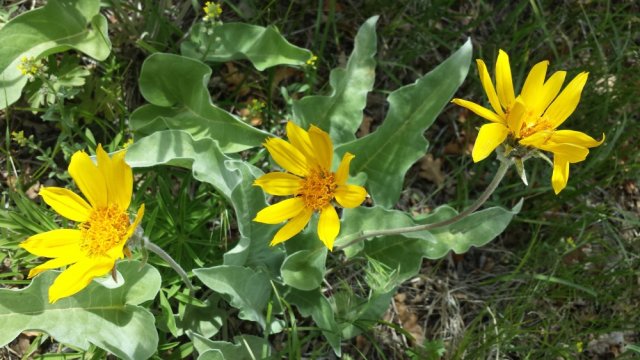 20160527_144353