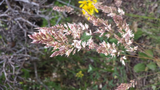 20160527_144519