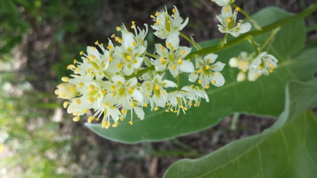 20160527_144557