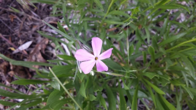 20160527_145819