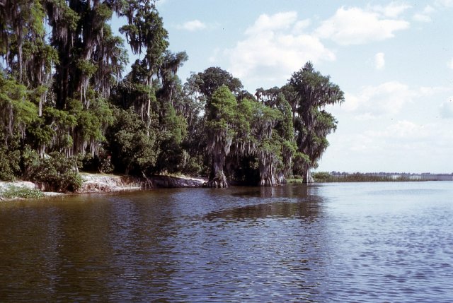 April 1964 Florida