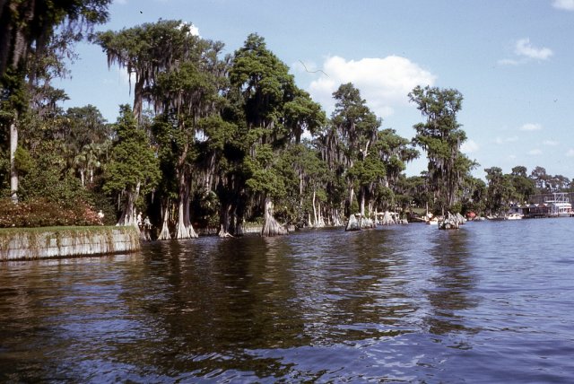 April 1964 Florida