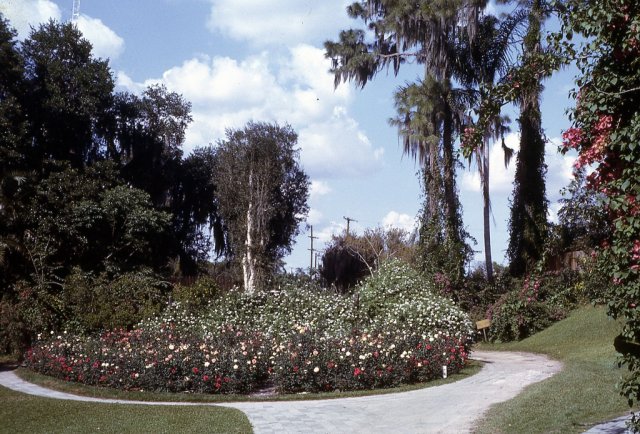 April 1964 Florida