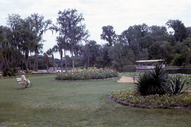 April 1964 Cypress Gardens, FL