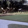 April 1964 Cypress Gardens, FL