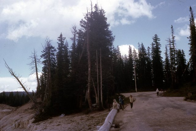 August 1964 - Mt. Rainier + West Coast