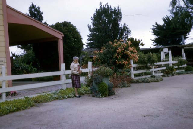 August 1964 - Mt. Rainier + West Coast