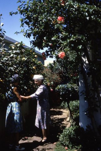 August 1964 - Mt. Rainier + West Coast